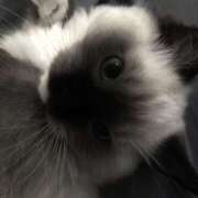 ヒメ日記 2025/08/29 17:40 投稿 あやの 初体験