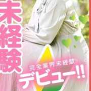 ヒメ日記 2025/05/12 19:31 投稿 あき 京都BOOK MARK（ブックマーク）