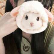 ヒメ日記 2025/04/23 22:44 投稿 ゆきの ビデオDEはんど 名古屋校