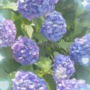 ヒメ日記 2025/08/23 06:34 投稿 ゆきの ビデオDEはんど 名古屋校