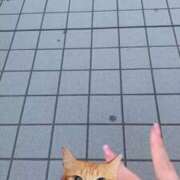 ヒメ日記 2025/09/17 16:33 投稿 あかね もみもみワンダーランド