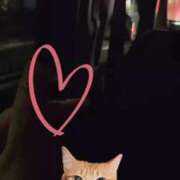 ヒメ日記 2025/09/18 03:53 投稿 あかね もみもみワンダーランド