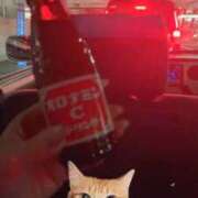 ヒメ日記 2025/09/25 05:13 投稿 あかね もみもみワンダーランド