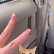 ヒメ日記 2025/09/27 14:03 投稿 あかね もみもみワンダーランド