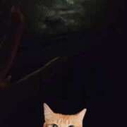 ヒメ日記 2025/10/02 01:13 投稿 あかね もみもみワンダーランド