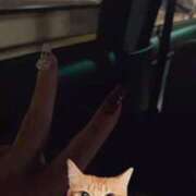 ヒメ日記 2025/10/15 00:13 投稿 あかね もみもみワンダーランド