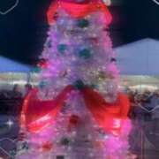 ヒメ日記 2025/11/19 03:43 投稿 あかね もみもみワンダーランド