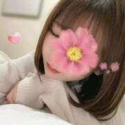 ヒメ日記 2025/06/17 12:53 投稿 ミツリ 【福岡デリヘル】20代・30代★博多で評判のお店はココです！