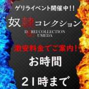 ヒメ日記 2025/11/29 15:00 投稿 こはね 奴隷コレクション梅田店