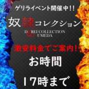 ヒメ日記 2025/12/17 09:38 投稿 こはね 奴隷コレクション梅田店