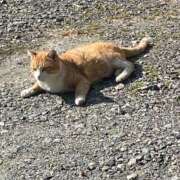 ヒメ日記 2026/01/24 09:46 投稿 こはね 奴隷コレクション梅田店