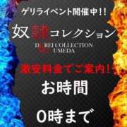 ヒメ日記 2026/03/22 13:16 投稿 こはね 奴隷コレクション梅田店