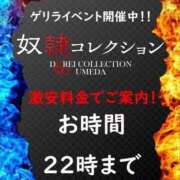 ヒメ日記 2026/08/21 14:06 投稿 こはね 奴隷コレクション梅田店