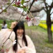 ヒメ日記 2025/04/18 08:15 投稿 さり ホワイトハウス