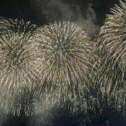 ヒメ日記 2025/08/04 02:45 投稿 にな おねだり！ココナッツ