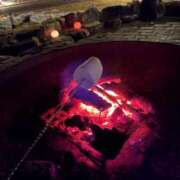 ヒメ日記 2026/02/20 20:06 投稿 にな おねだり！ココナッツ