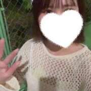 ヒメ日記 2025/04/19 01:41 投稿 ねね しろうと娘in新宿