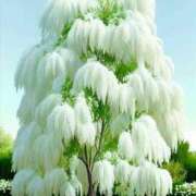 ヒメ日記 2025/05/28 09:33 投稿 ゆき 熟女デリヘル倶楽部