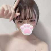 ヒメ日記 2025/07/24 08:15 投稿 ひな 西川口コスプレメイド学園（シンデレラグループ）