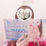 ヒメ日記 2025/04/30 10:37 投稿 あやか 三つ乱本館