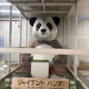 ヒメ日記 2026/02/07 10:27 投稿 あやか 三つ乱本館