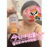 ヒメ日記 2025/09/08 15:34 投稿 ほのか 西船人妻花壇