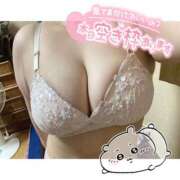 ヒメ日記 2026/04/07 04:40 投稿 ほのか 西船人妻花壇