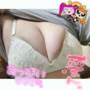 ヒメ日記 2026/04/20 23:31 投稿 ほのか 西船人妻花壇