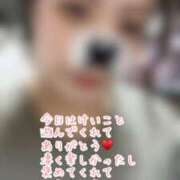 ヒメ日記 2025/09/30 00:59 投稿 けいこ 兵庫姫路・加古川ちゃんこ