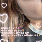 ヒメ日記 2025/10/19 16:42 投稿 けいこ 兵庫姫路・加古川ちゃんこ