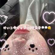 ヒメ日記 2026/01/28 13:48 投稿 けいこ 兵庫姫路・加古川ちゃんこ