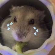 えみ ごめんなさい E+アイドルスクール池袋店