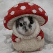 ヒメ日記 2025/12/25 09:59 投稿 えみ E+アイドルスクール池袋店