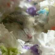 ヒメ日記 2026/03/07 09:56 投稿 えみ E+アイドルスクール池袋店