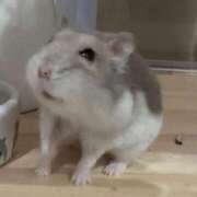 えみ 完売✨ E+アイドルスクール池袋店