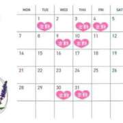 ヒメ日記 2025/06/25 11:24 投稿 かすみ ジャパンクラブ富士