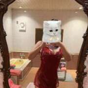 ヒメ日記 2025/11/19 15:03 投稿 かすみ ジャパンクラブ富士