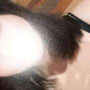 ヒメ日記 2026/01/15 11:17 投稿 かすみ ジャパンクラブ富士