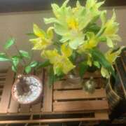 ヒメ日記 2025/04/16 13:06 投稿 秋月 鶯谷人妻城