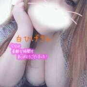 ヒメ日記 2025/09/28 03:27 投稿 マナミ ドMな奥様 大阪本店