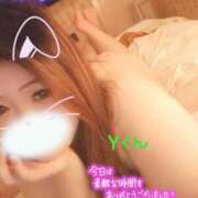 ヒメ日記 2025/11/04 16:47 投稿 マナミ ドMな奥様 大阪本店