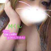 ヒメ日記 2025/11/27 07:45 投稿 マナミ ドMな奥様 大阪本店