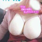 ヒメ日記 2025/12/16 15:11 投稿 マナミ ドMな奥様 大阪本店