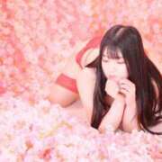 ヒメ日記 2025/04/15 17:05 投稿 ぽむ 宮崎SANSAIN