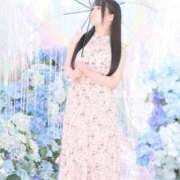 ヒメ日記 2025/05/16 15:16 投稿 ぽむ 宮崎SANSAIN