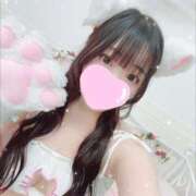 ヒメ日記 2025/06/21 11:06 投稿 ぽむ 宮崎SANSAIN