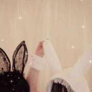 ヒメ日記 2026/02/21 12:35 投稿 ぽむ 宮崎SANSAIN