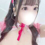 ヒメ日記 2026/03/05 12:05 投稿 ぽむ 宮崎SANSAIN