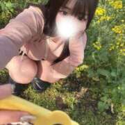 ヒメ日記 2026/03/10 12:25 投稿 ぽむ 宮崎SANSAIN