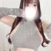 ヒメ日記 2026/03/12 11:27 投稿 ぽむ 宮崎SANSAIN